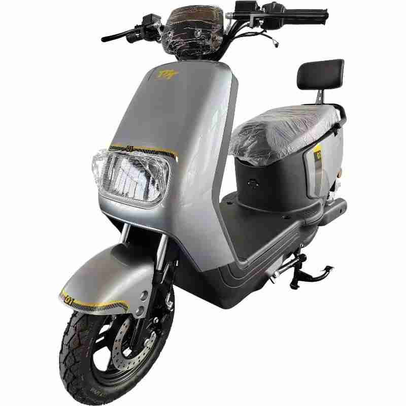 Urban Electric Scooter with LED Display, Disc Brake, Vacuum Tires and Passenger Backrest