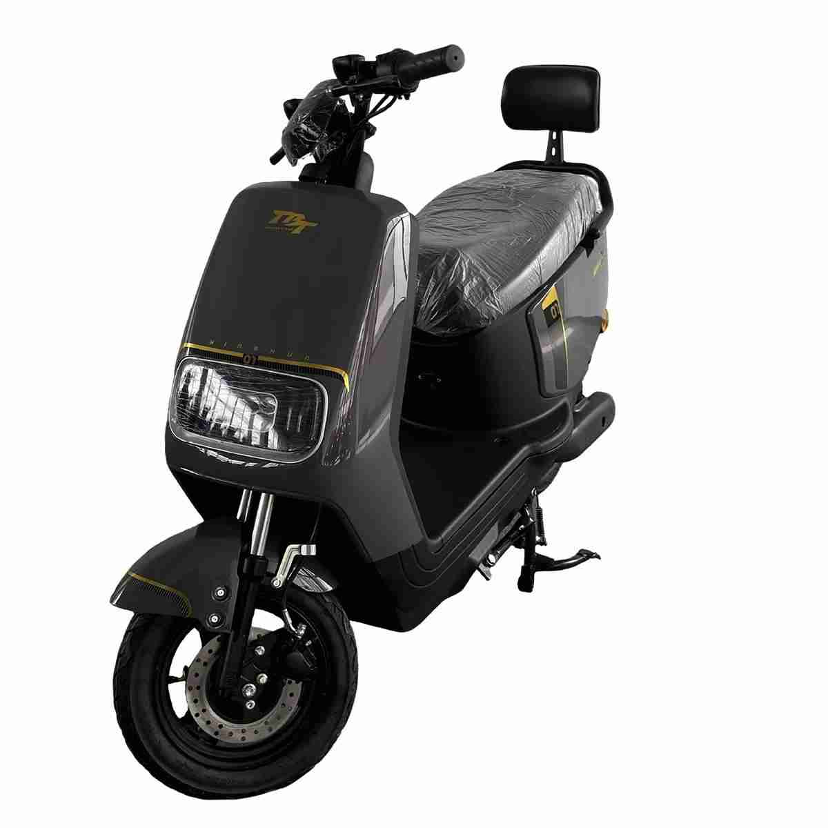 Urban Electric Scooter with LED Display, Disc Brake, Vacuum Tires and Passenger Backrest
