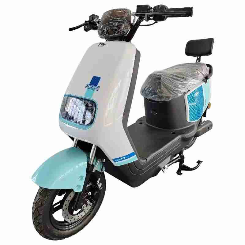 Urban Electric Scooter with LED Display, Disc Brake, Vacuum Tires and Passenger Backrest