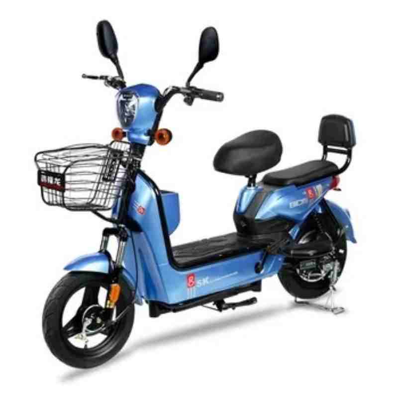 Electric City Bike with Front Basket, Dual Seats and 350W/500W Motor Options
