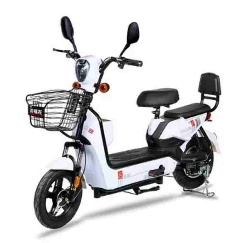 Electric City Bike with Front Basket, Dual Seats and 350W/500W Motor Options