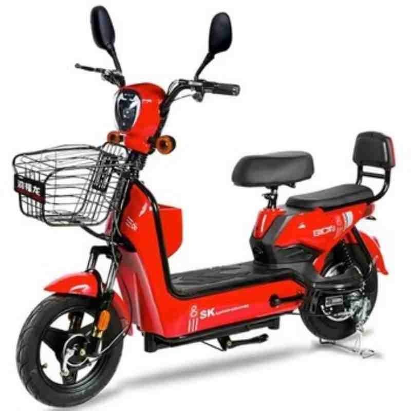 Electric City Bike with Front Basket, Dual Seats and 350W/500W Motor Options