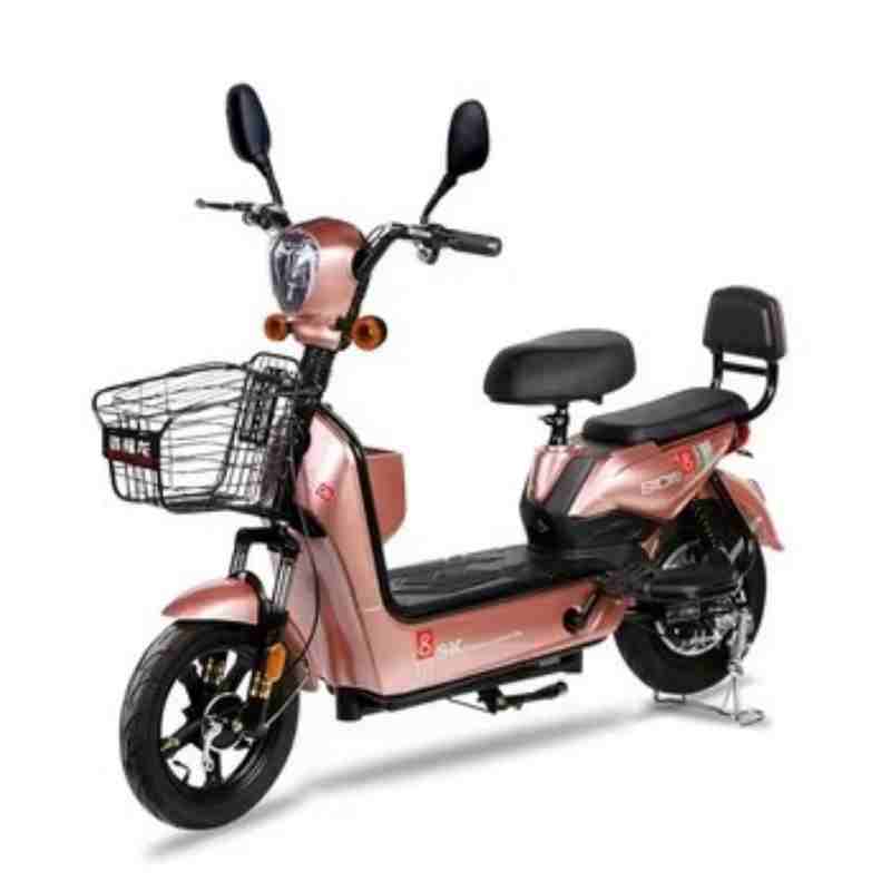 Electric City Bike with Front Basket, Dual Seats and 350W/500W Motor Options