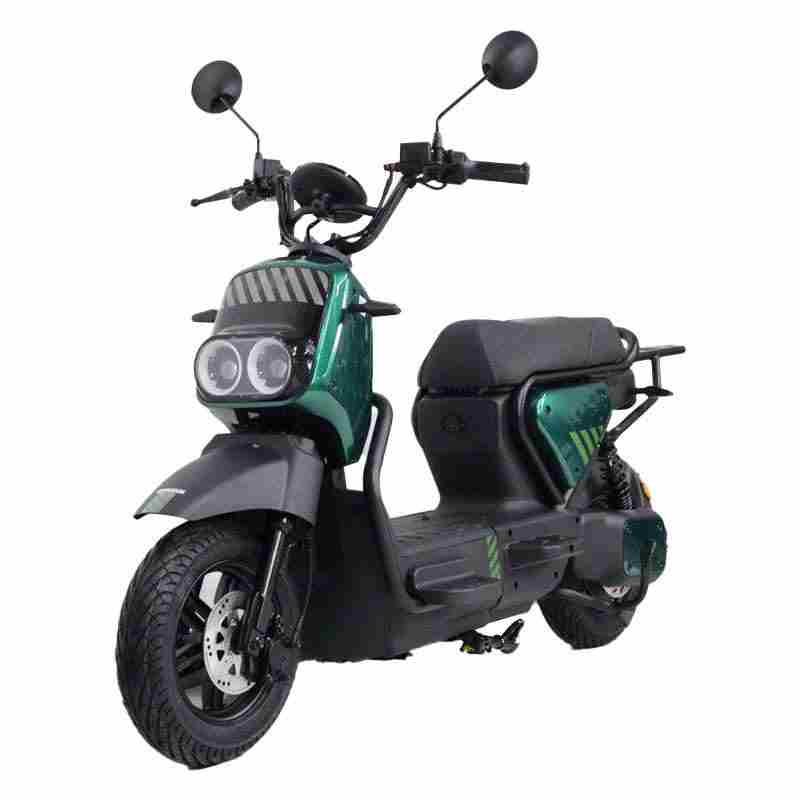 Long-Range Electric City Bike for Adults with Dual Suspension and Digital Display
